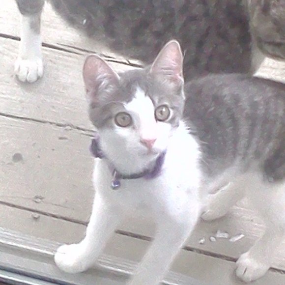 Meet your Posher, Lisa - Picture 16 of 16